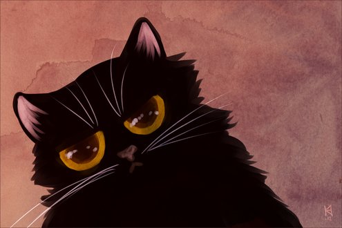 Черная кошка аниме