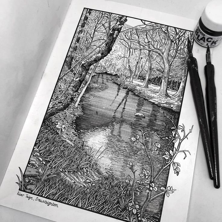 Тушь для рисования картины