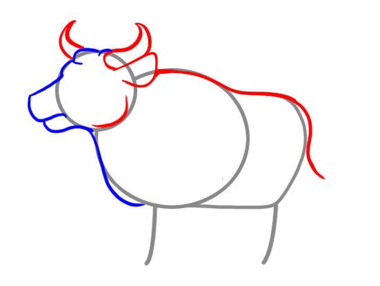 Поэтапный рисунок быка
