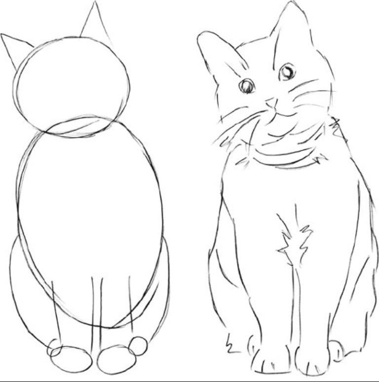 Кошка рисунок
