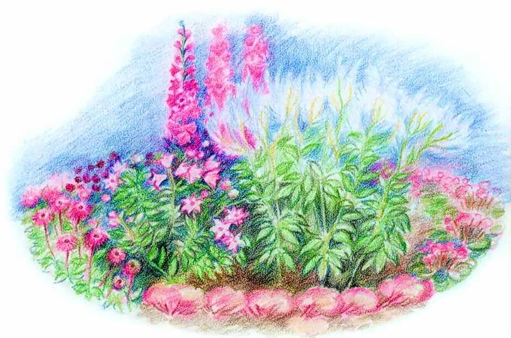 Нарисовать клумбу с цветами