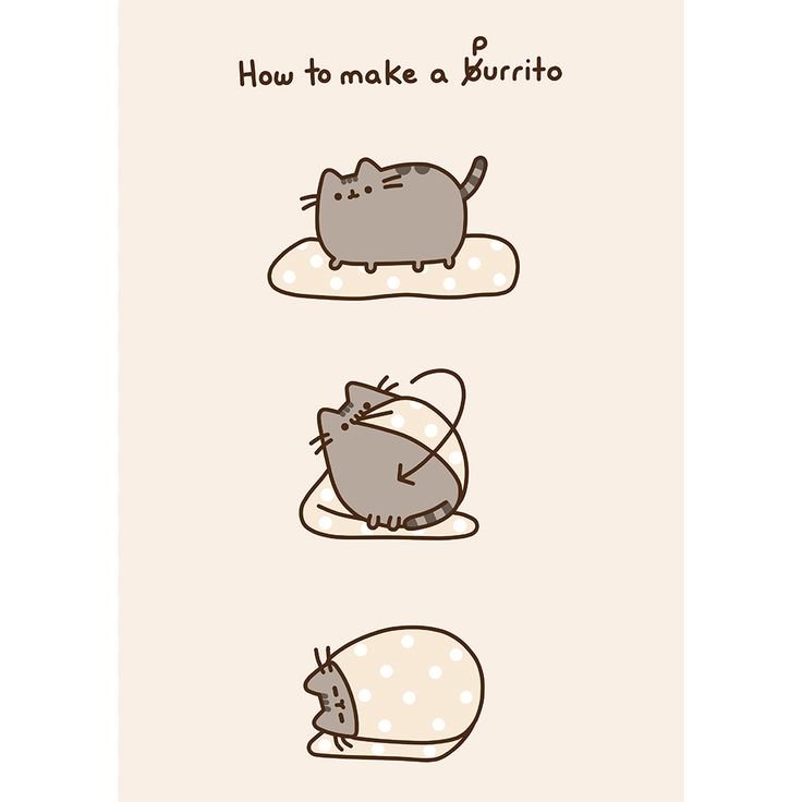Кот Пушин Pusheen