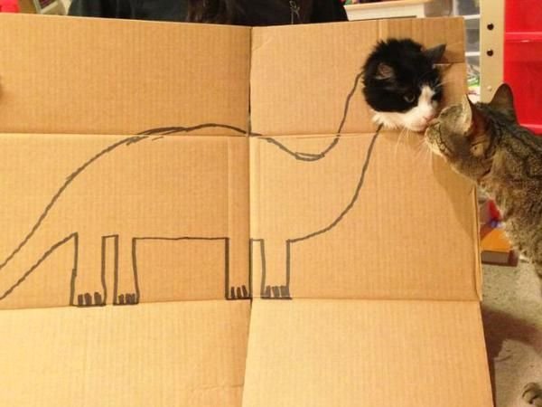 Кот картон Кэт