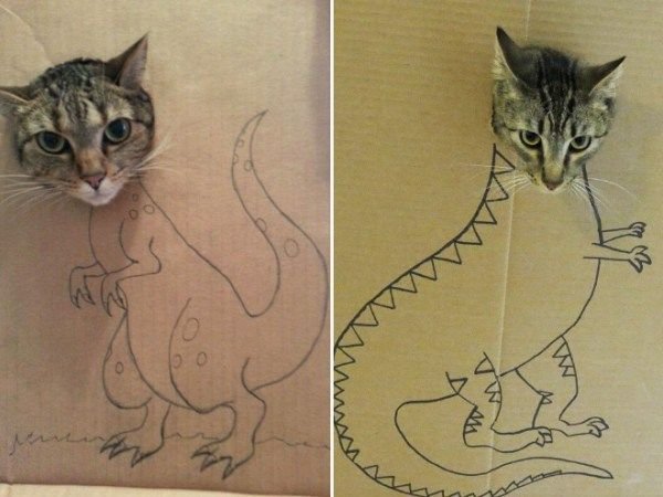 Котозавр динозавр