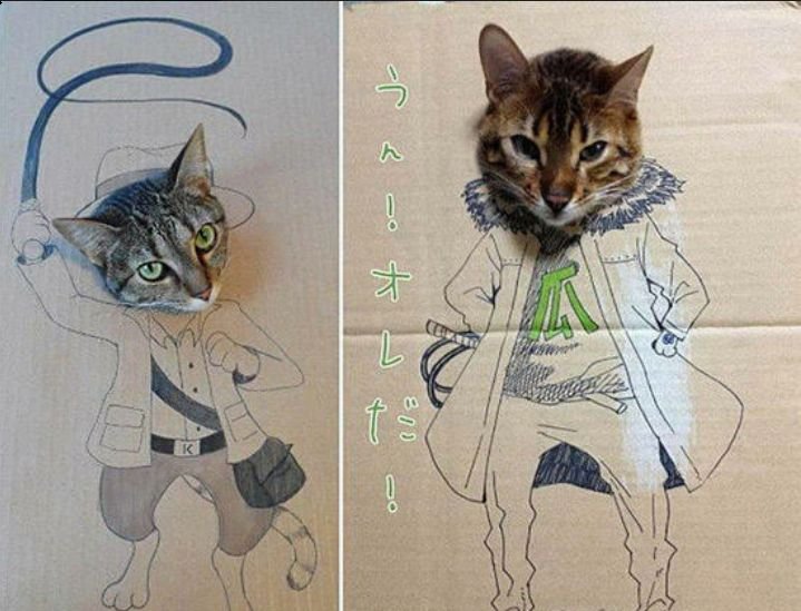 Рисунки на картонку котики