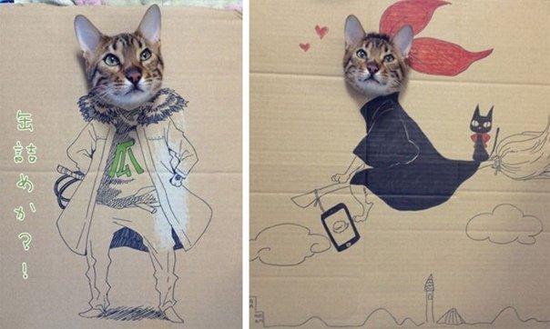 Коты из картона