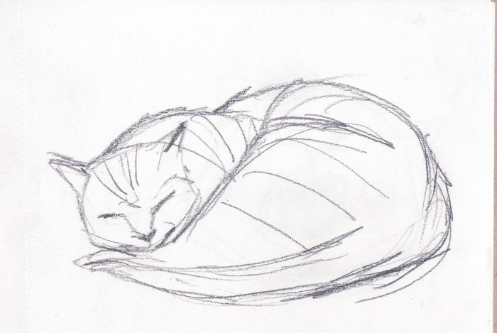 Кошка карандашом