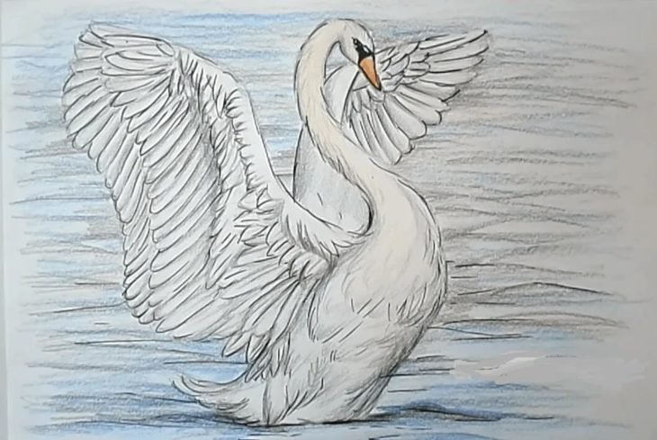 Лебедь рисунок