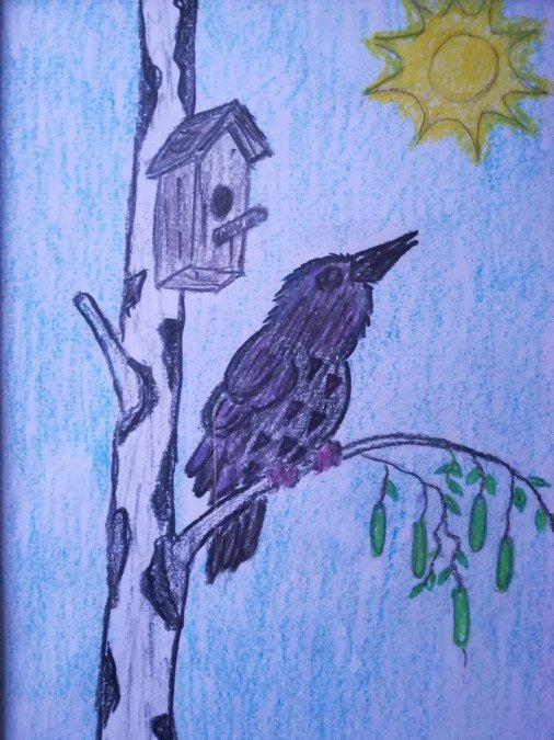 Рисование скворца