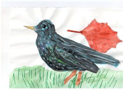 Рисование скворца в подготовительной группе