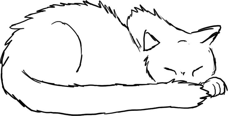 Спящий кот рисунок
