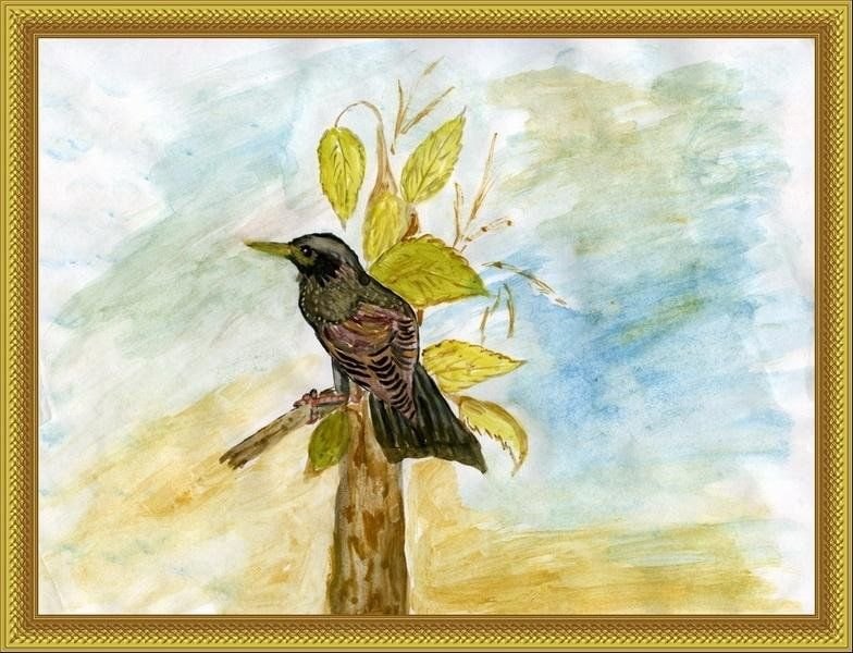 Скворец Скворушка скворечник