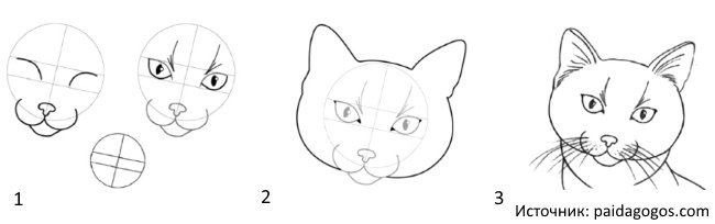Кошачья мордочка рисунок