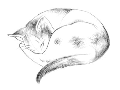 Спящая кошка карандашом