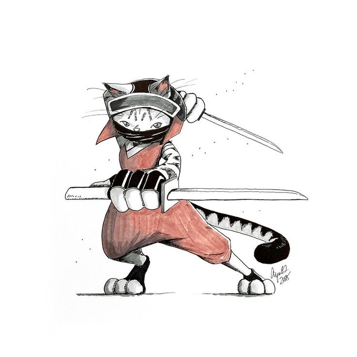 Кошка ниндзя