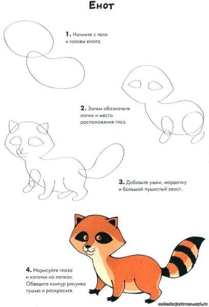 Как нарисовать енота поэтапно для детей