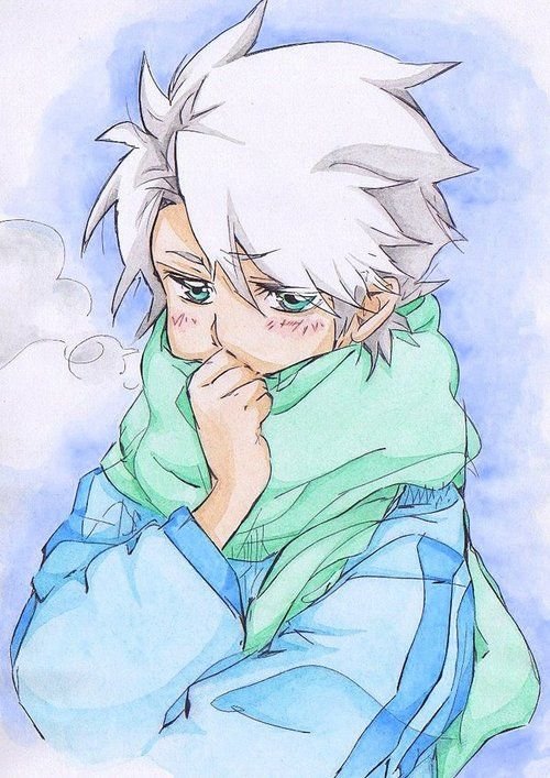 Тоширо Хицугая аниме