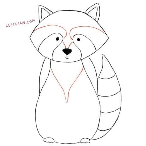 Пошаговый рисунок енота