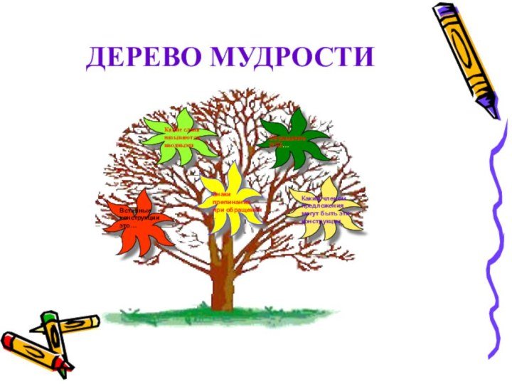 Плоды дерева мудрости
