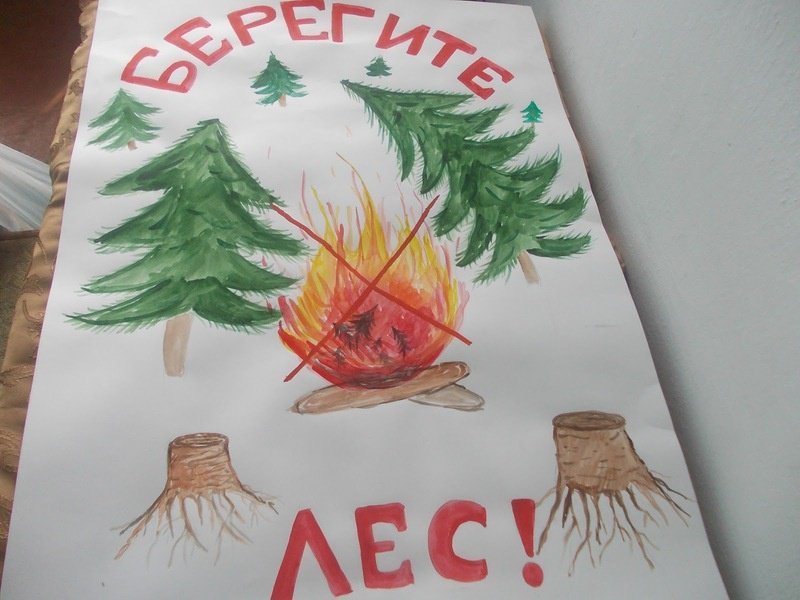 Плакат береги лес