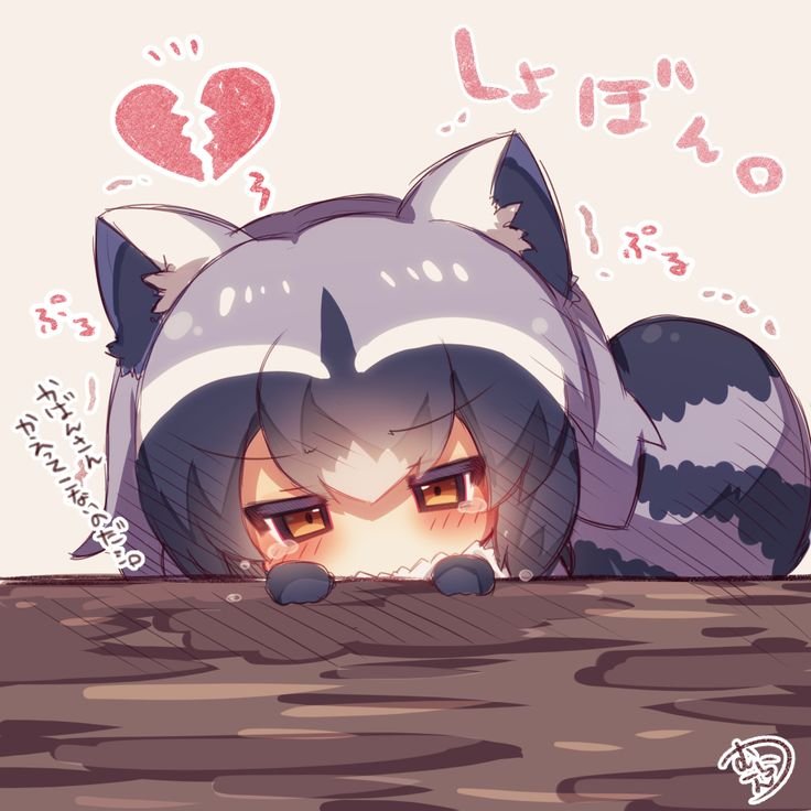 Common Raccoon аниме