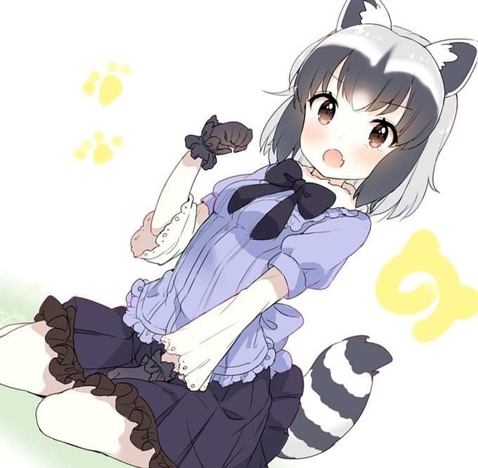 Kemono friends Енотик
