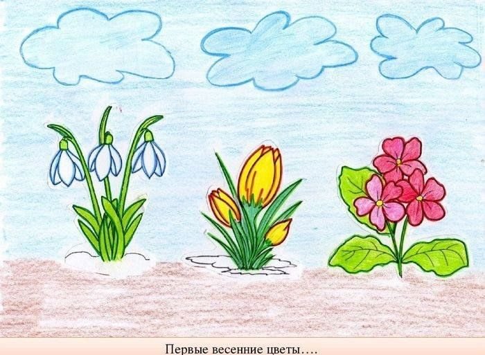 Первоцветы рисунки