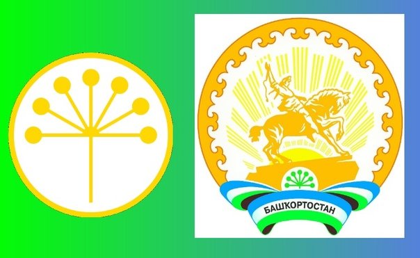 Цветок курая символ Башкортостана