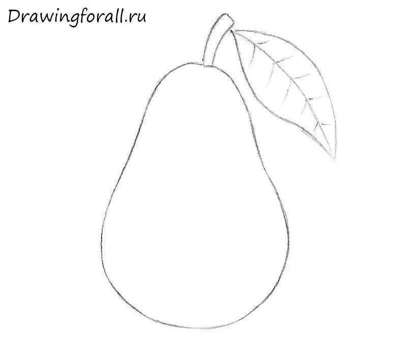 Груша карандашом