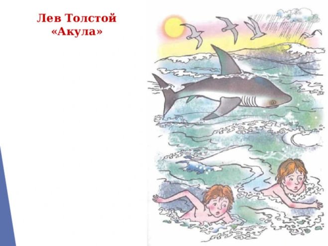 Лев Николаевич толстой акула