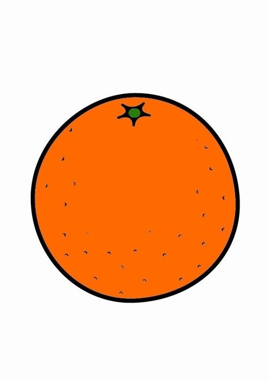 Апельсин рисунок для детей