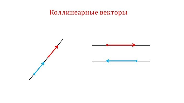 Коллинеарные векторы