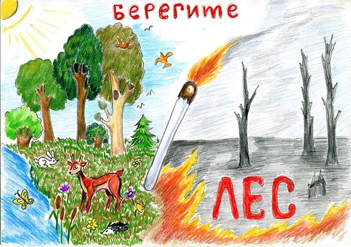 Рисунок на тему береги лес от пожара