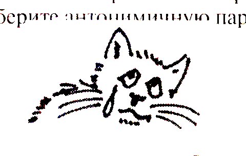 Кот наплакал картинка