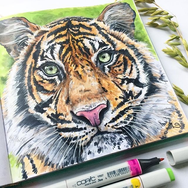 Рисунок тигра фломастерами