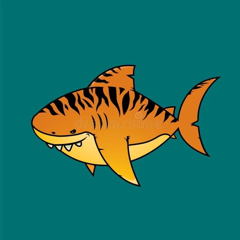 Акула тигр