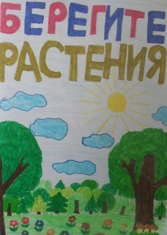 Рисунок берегите растения