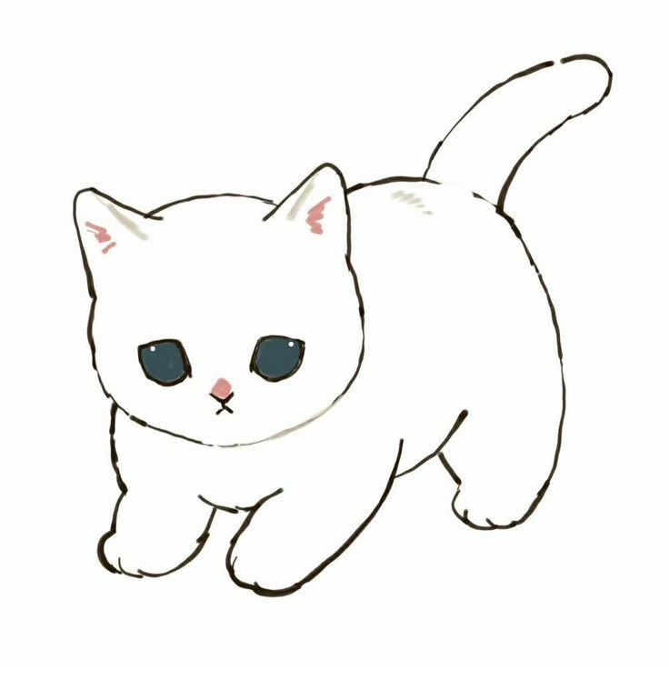Картинки котиков милых
