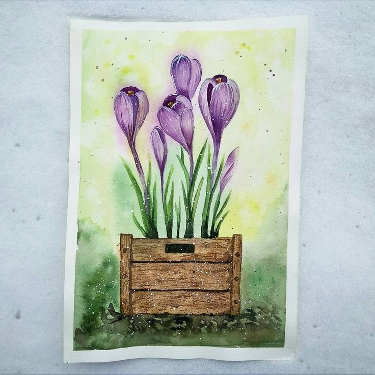 Крокусы акварелью