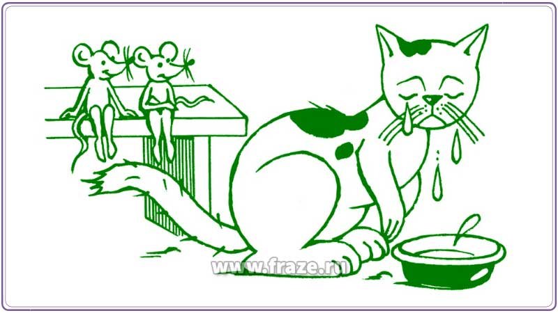 Кот наплакал фразеологизм