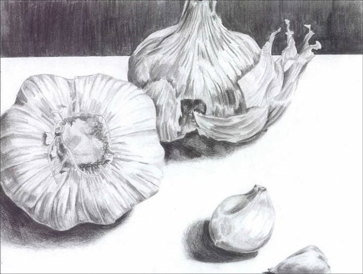 Чеснок карандашом