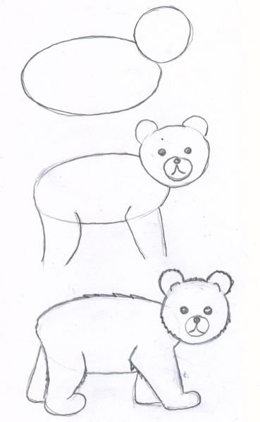 Рисунок медведя для срисовки