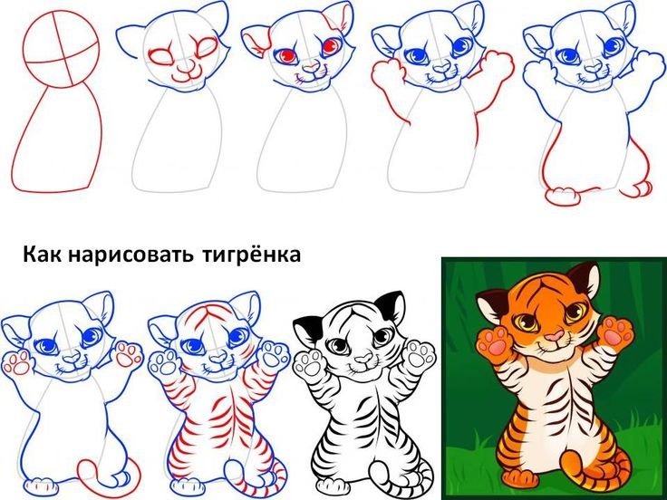 Поэтапный рисунок тигра