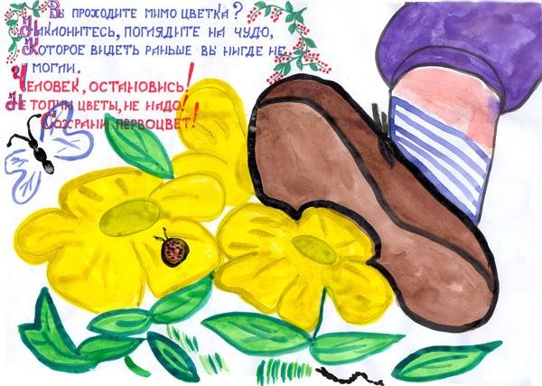 Плакат в защиту первоцветов