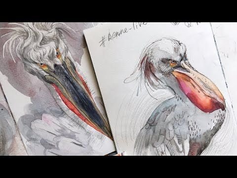 Рисуем пеликана