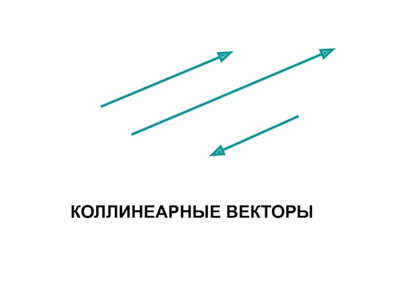 Вектор коллинеарен вектору