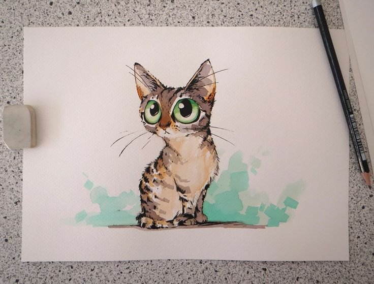 Кот фломастерами