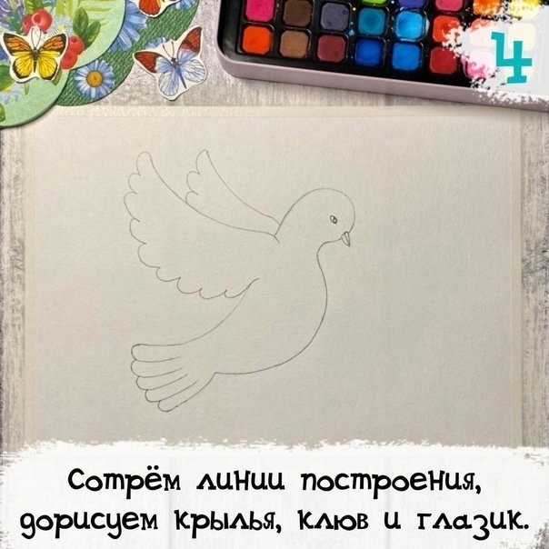Рисунок голубя на 9 мая
