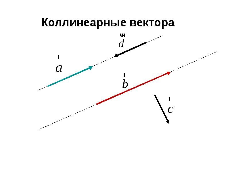 Коллинеарные векторы рисунок