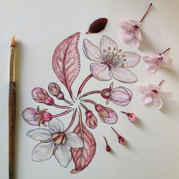 Идеи для рисунков цветы